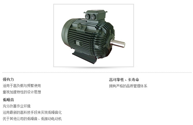  中型電動機